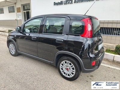 Fiat Panda 1.0 firefly hybrid s&s 70cv 5p.ti (9)