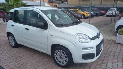 Fiat Panda 1.0 firefly hybrid s&s 70cv 5p.ti usata