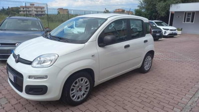 Fiat Panda 1.0 firefly hybrid s&s 70cv 5p.ti (3)