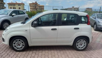Fiat Panda 1.0 firefly hybrid s&s 70cv 5p.ti (4)