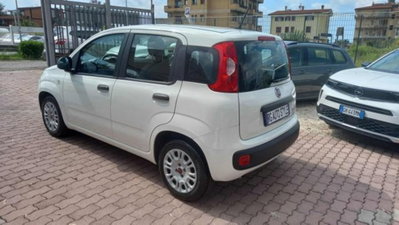 Fiat Panda 1.0 firefly hybrid s&s 70cv 5p.ti (5)