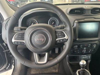 Jeep Renegade 1.0 T3 Limited (10)