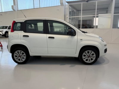 Fiat Panda 0.9 TwinAir Turbo Natural Power Easy (4)