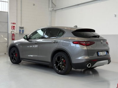 Alfa Romeo Stelvio Stelvio 2.2 Turbodiesel 190 CV AT8 Q4 Super Business (6)