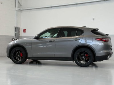 Alfa Romeo Stelvio Stelvio 2.2 Turbodiesel 190 CV AT8 Q4 Super Business (7)