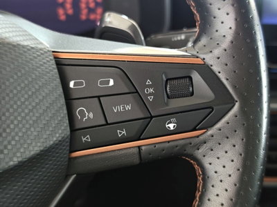 Cupra Formentor Formentor 2.0 tdi 4drive 150cv dsg (11)