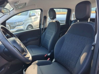 Fiat Panda 1.0 firefly hybrid s&s 70cv 5p.ti (15)
