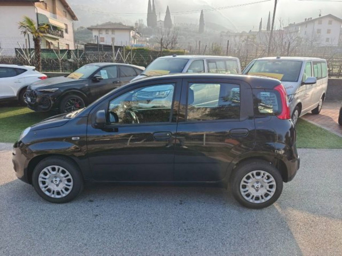 Fiat Panda 1.0 firefly hybrid s&s 70cv 5p.ti (2)