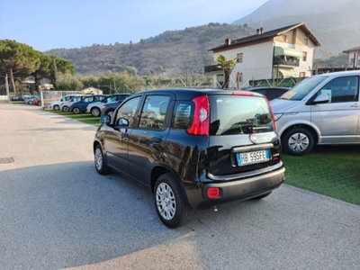 Fiat Panda 1.0 firefly hybrid s&s 70cv 5p.ti (3)