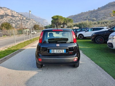 Fiat Panda 1.0 firefly hybrid s&s 70cv 5p.ti (4)