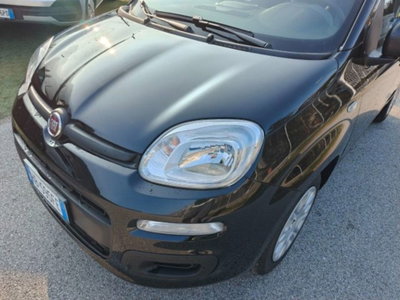 Fiat Panda 1.0 firefly hybrid s&s 70cv 5p.ti (9)