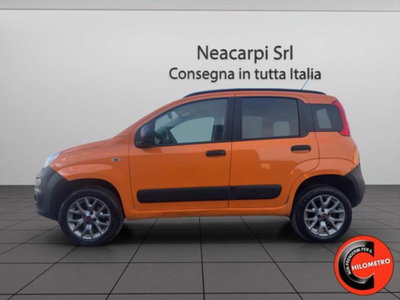 Fiat Panda 1.3 MJT 80 CV S&S 4x4 (3)