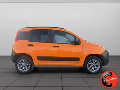 Fiat Panda 1.3 MJT 80 CV S&S 4x4 (4)