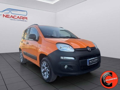 Fiat Panda 1.3 MJT 80 CV S&S 4x4 (5)