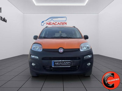 Fiat Panda 1.3 MJT 80 CV S&S 4x4 (9)