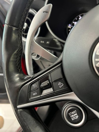 Alfa Romeo Stelvio Stelvio 2.0 Turbo 280 CV AT8 Q4 First Edition (12)