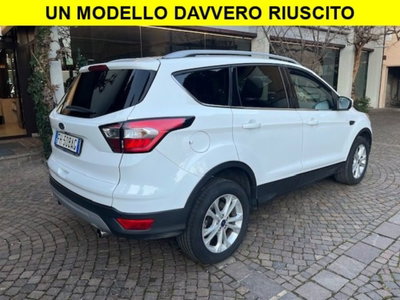 Ford Kuga 1.5 TDCI 120 CV S&S 2WD Titanium (4)