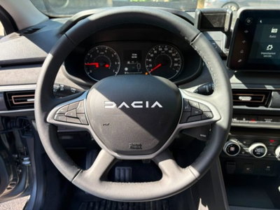 Dacia Sandero Stepway 1.0 tce Extreme Eco-g 100cv (9)
