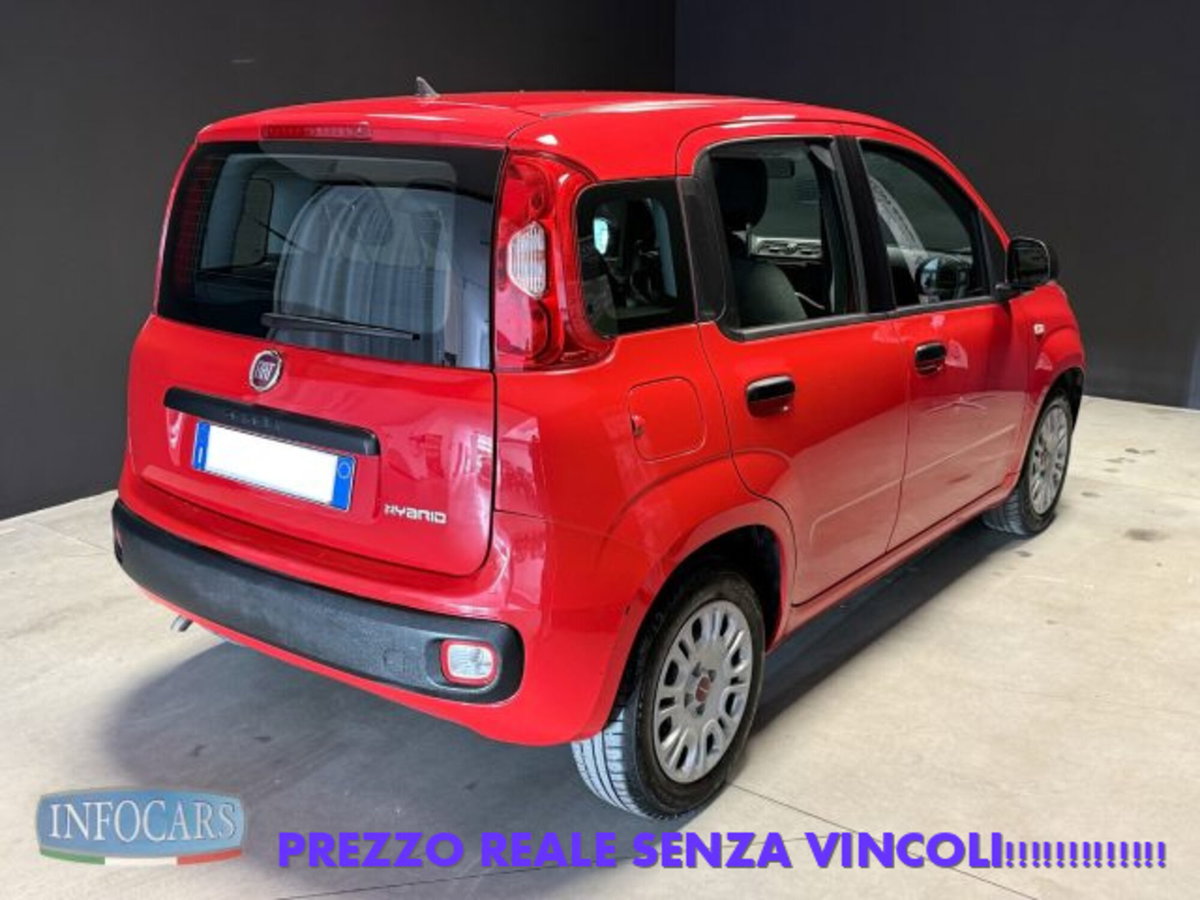 Fiat Panda 1.0 firefly hybrid s&s 70cv 5p.ti (4)