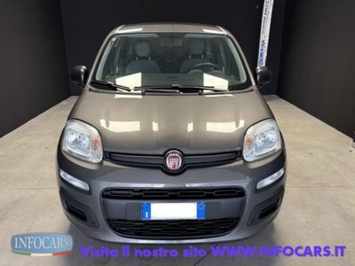 Fiat Panda 1.0 firefly hybrid s&s 70cv 5p.ti (18)