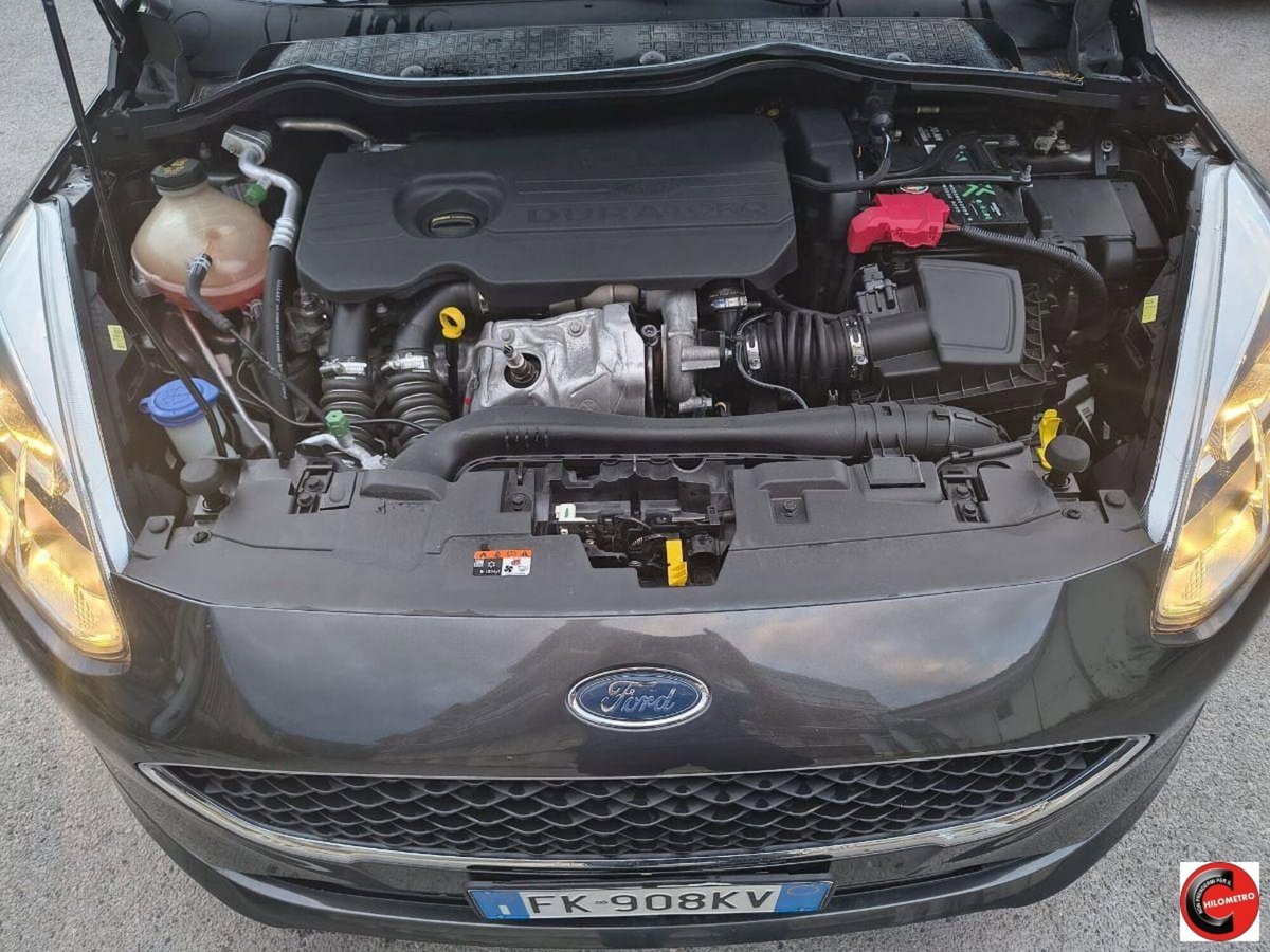 Ford Fiesta Plus 1.5 TDCi 75CV 5 porte (10)