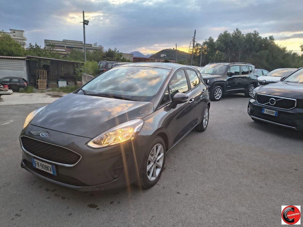 Ford Fiesta Plus 1.5 TDCi 75CV 5 porte (3)