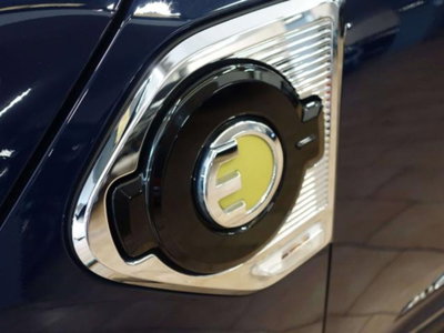 MINI Mini Countryman 1.5 Cooper Essential Countryman ALL4 (12)