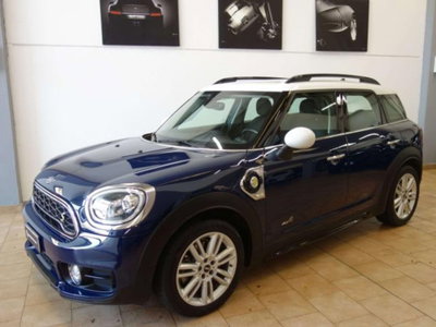 MINI Mini Countryman 1.5 Cooper Essential Countryman ALL4 (2)