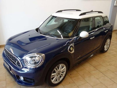 MINI Mini Countryman 1.5 Cooper Essential Countryman ALL4 (3)