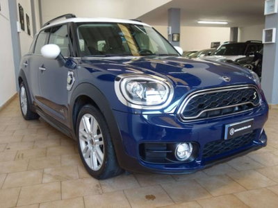 MINI Mini Countryman 1.5 Cooper Essential Countryman ALL4 (8)