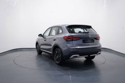 Mg ZS 1.5 Standard (4)