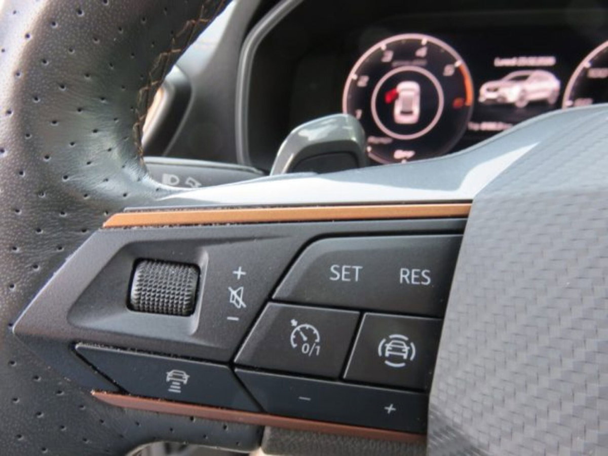 Cupra Formentor Formentor 2.0 tdi 4drive 150cv dsg (10)