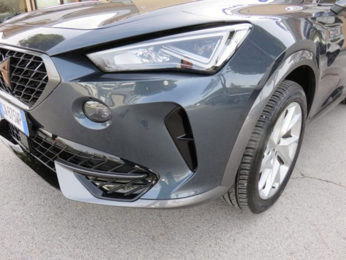 Cupra Formentor Formentor 2.0 tdi 4drive 150cv dsg (5)