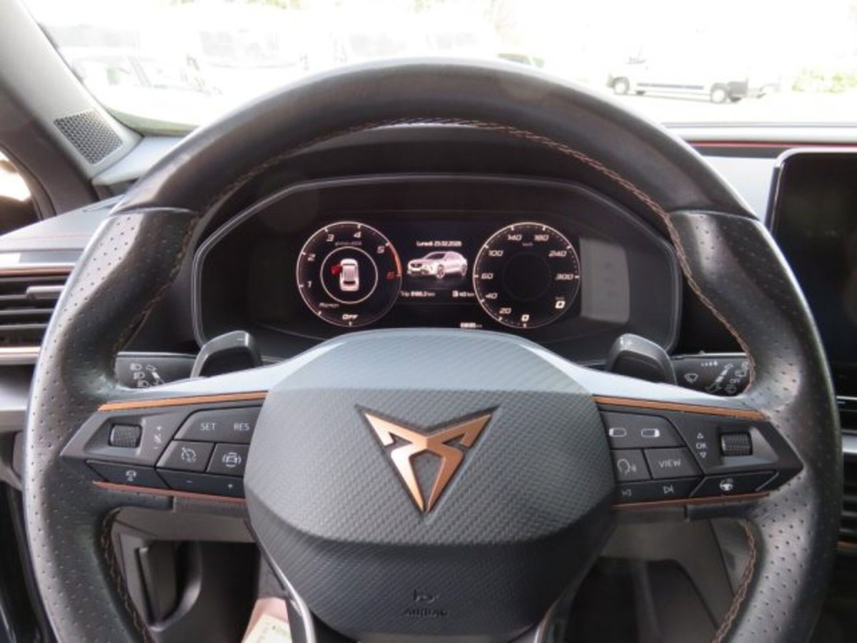 Cupra Formentor Formentor 2.0 tdi 4drive 150cv dsg (8)