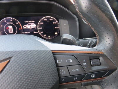 Cupra Formentor Formentor 2.0 tdi 4drive 150cv dsg (9)