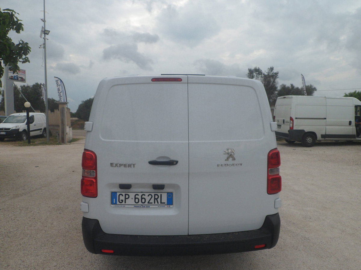 Peugeot Expert Furgone BlueHDi 100 PL-TN Combi Standard (5)