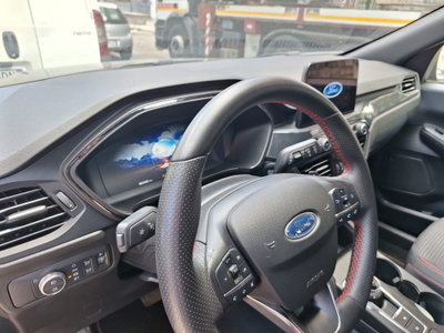 Ford Kuga 1.5 EcoBlue 120 CV aut. 2WD ST-Line X Design (6)