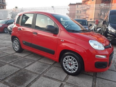 Fiat Panda 1.0 firefly hybrid s&s 70cv (3)