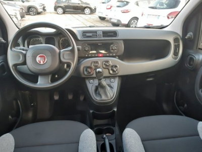 Fiat Panda 1.0 firefly hybrid s&s 70cv (5)