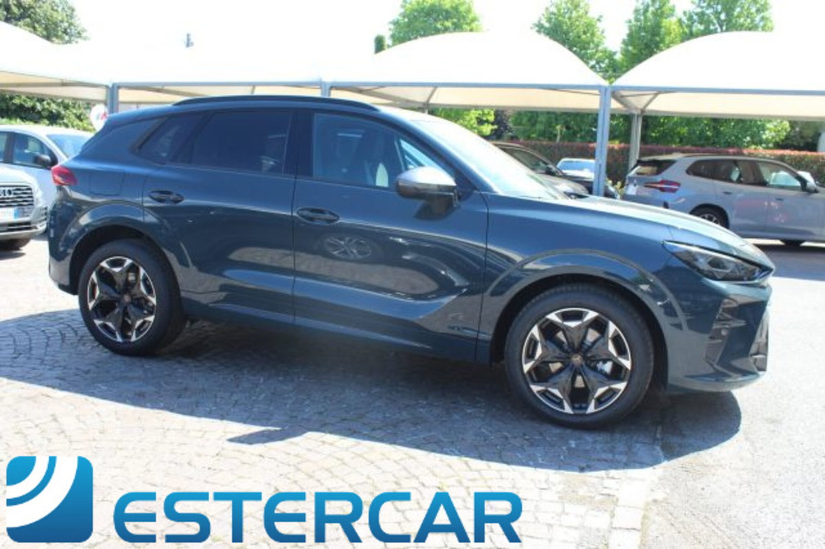 Cupra Terramar 1.5 hybrid 150cv dsg (10)