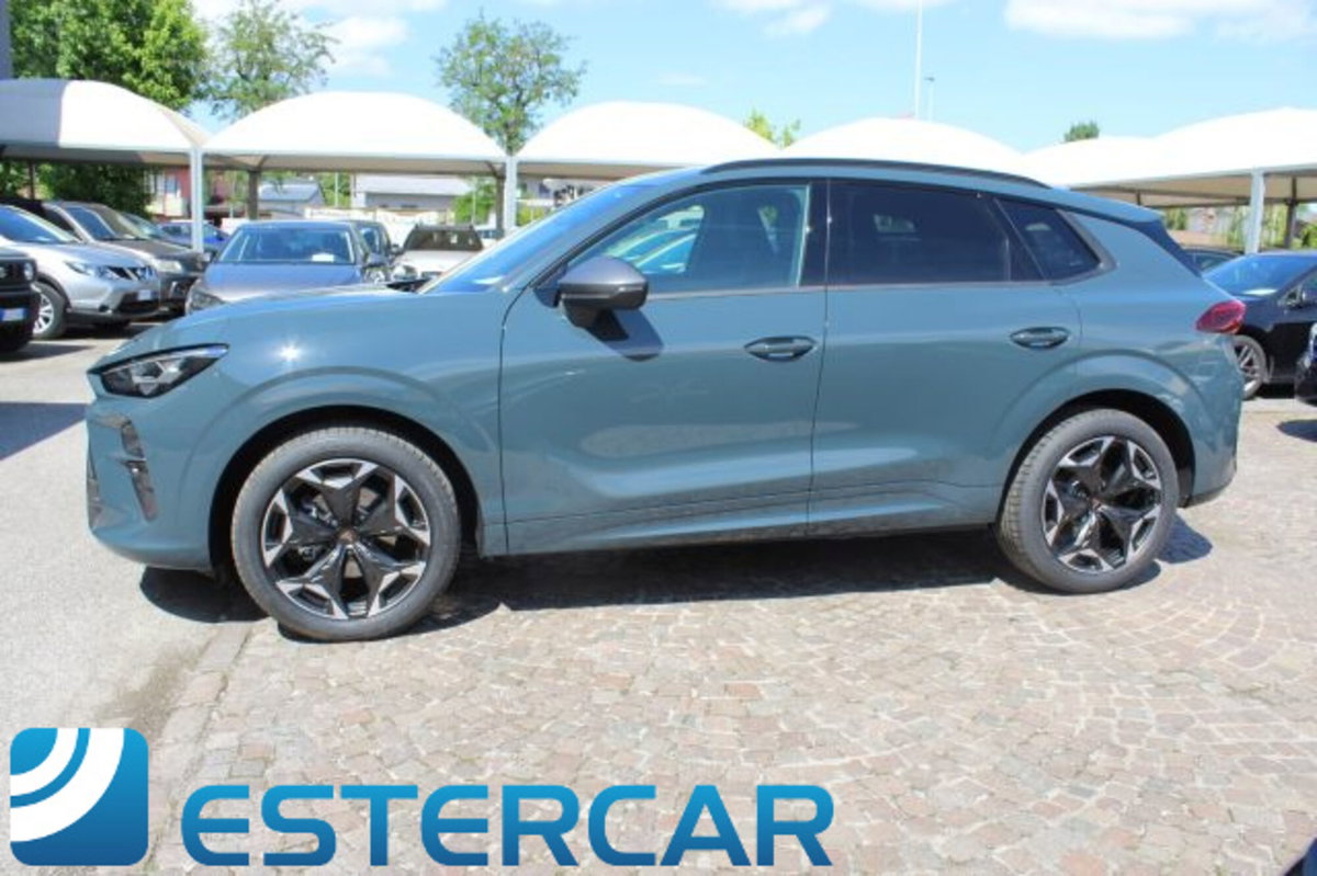 Cupra Terramar 1.5 hybrid 150cv dsg (15)