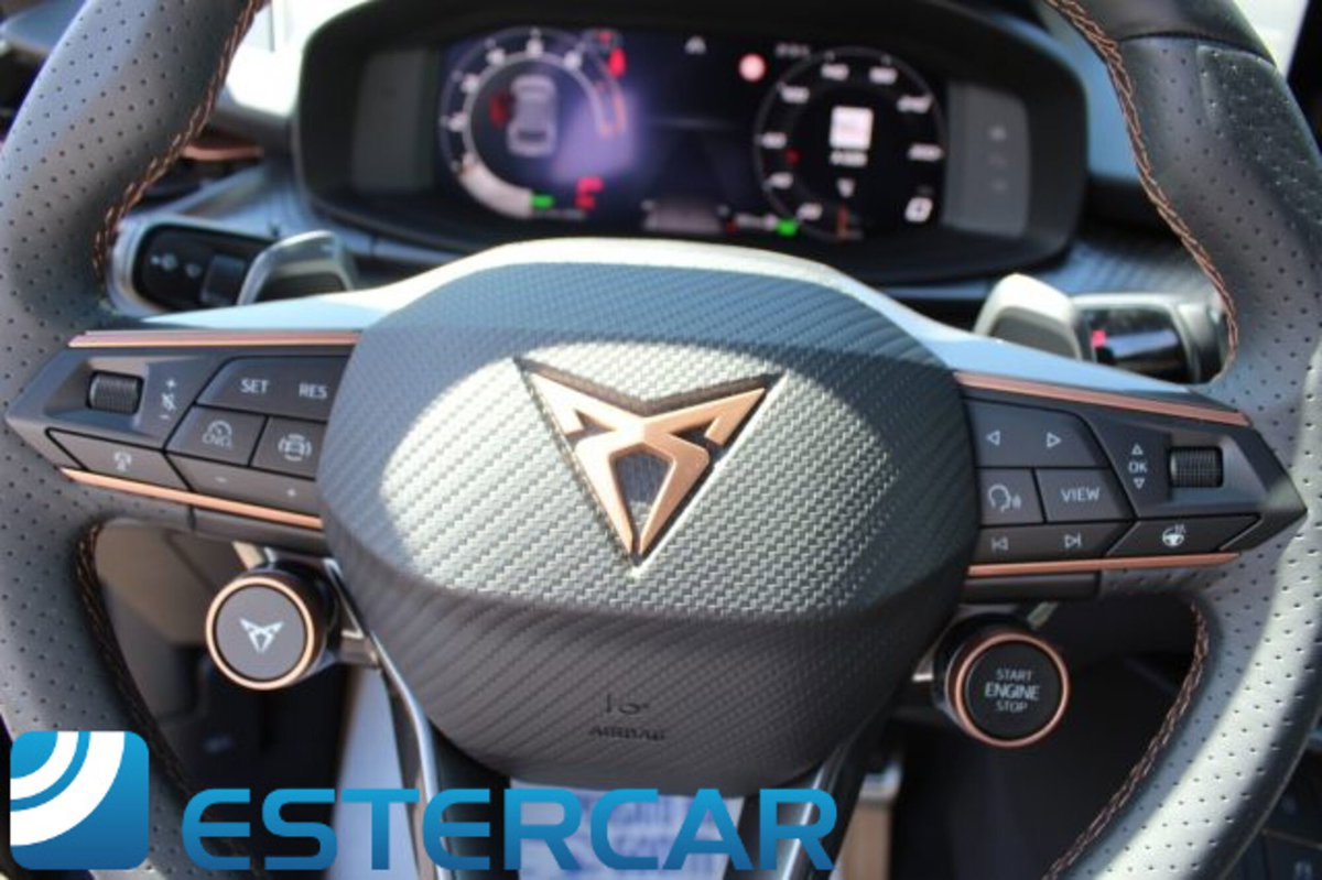 Cupra Terramar 1.5 hybrid 150cv dsg (18)