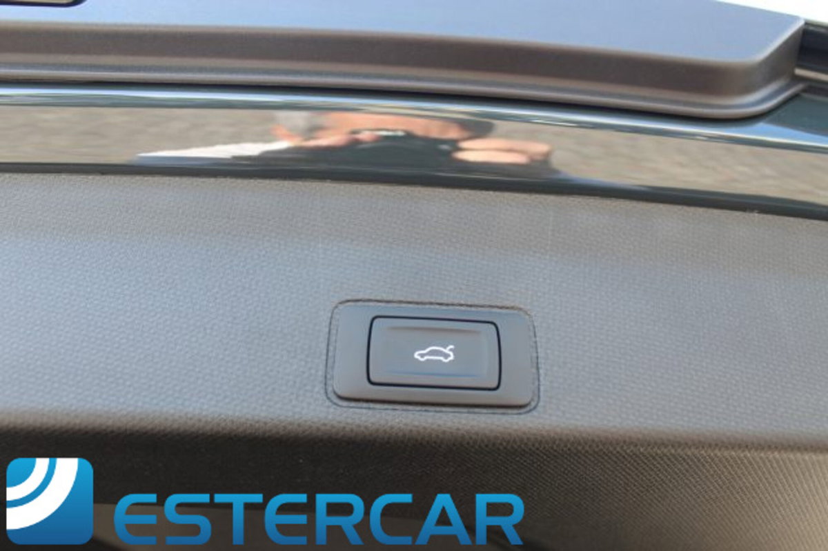 Cupra Terramar 1.5 hybrid 150cv dsg (20)