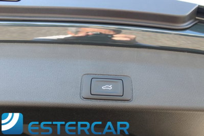 Cupra Terramar 1.5 hybrid 150cv dsg (20)