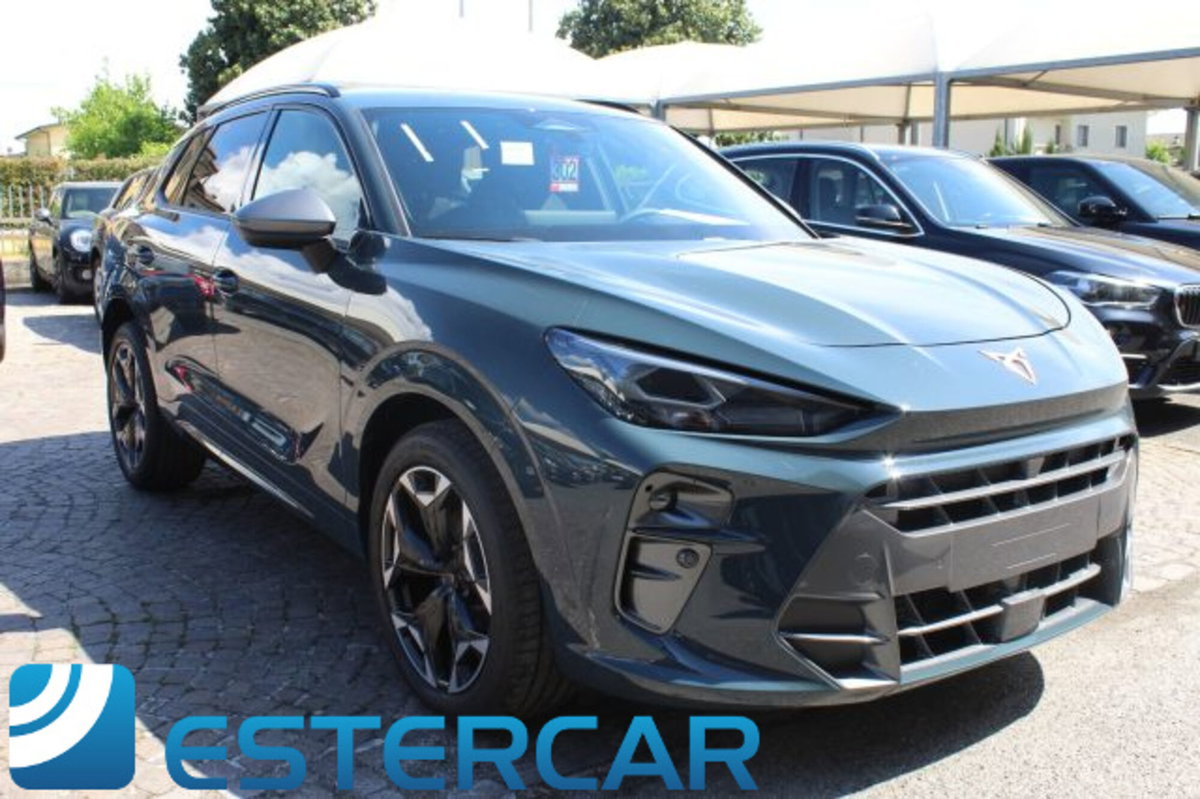 Cupra Terramar 1.5 hybrid 150cv dsg (7)