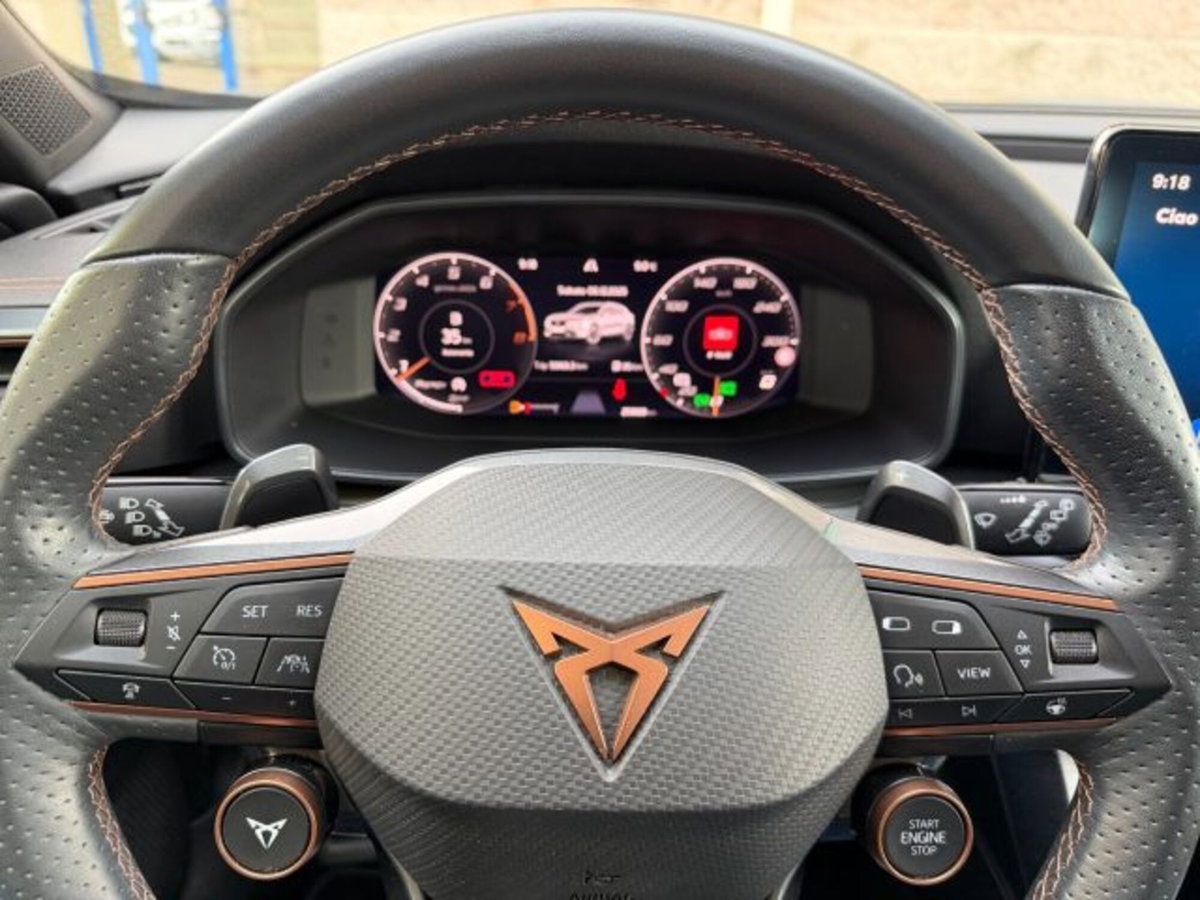 Cupra Formentor Formentor 2.0 tsi VZ 4drive 310cv dsg (15)