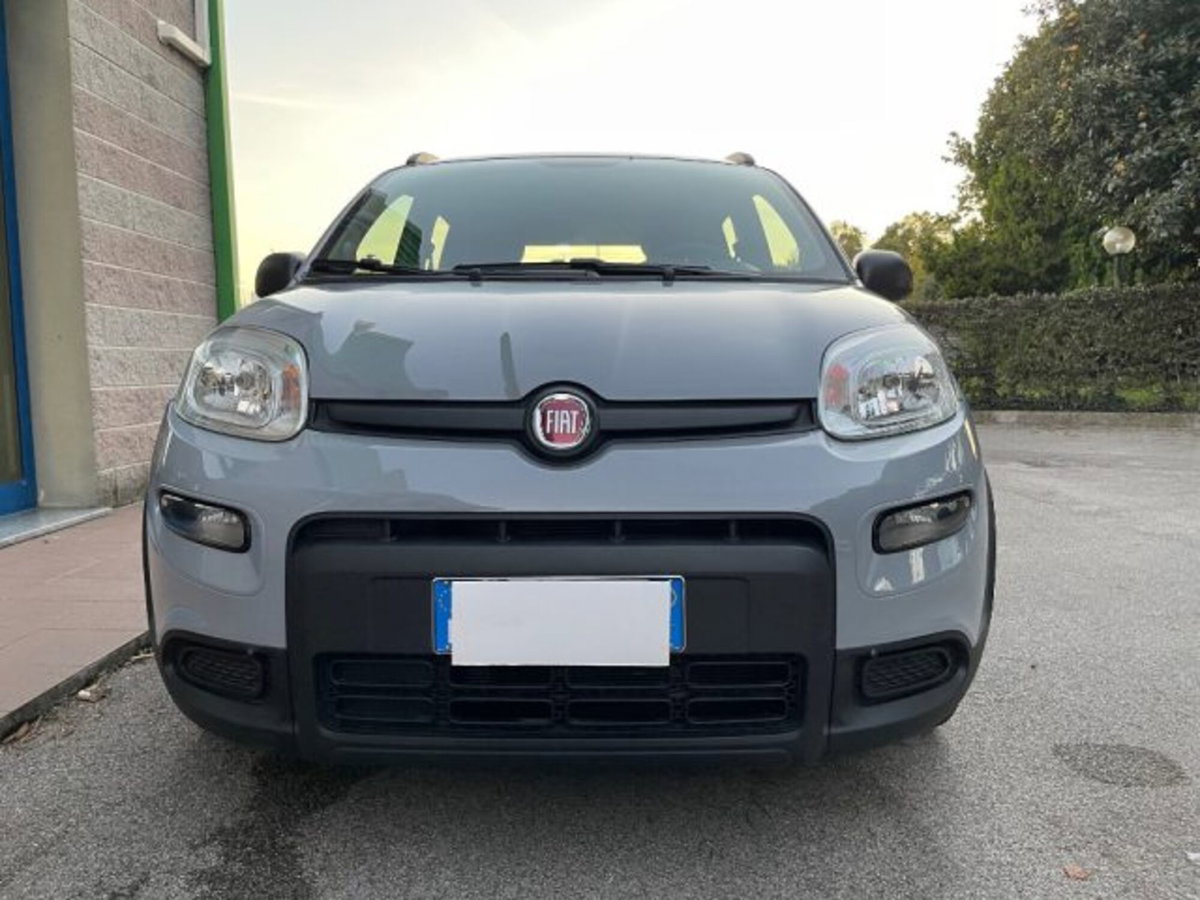 Fiat Panda 1.0 firefly hybrid s&s 70cv 5p.ti (3)
