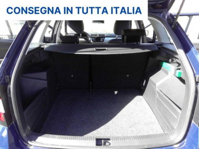 Skoda Fabia Station Wagon 1.4 TDI 75 CV Wagon Active (15)