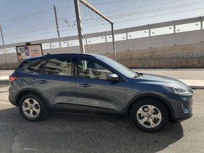 Ford Kuga 1.5 EcoBlue 120 CV 2WD Titanium (4)