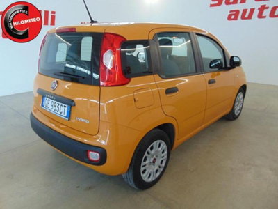 Fiat Panda 1.0 firefly hybrid s&s 70cv 5p.ti (8)